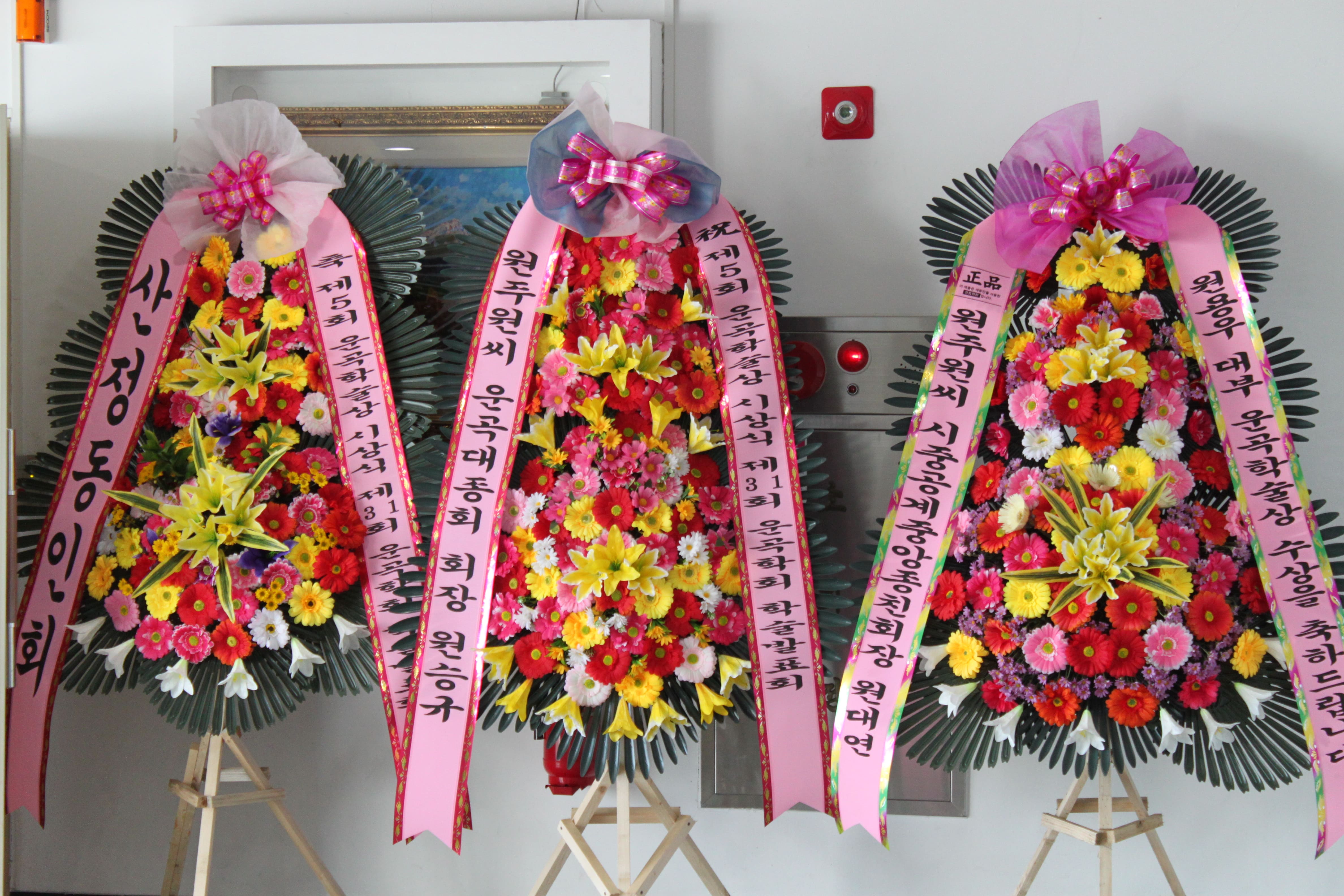 IMG_7936.jpg IMG_7936.jpg